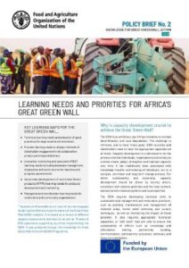 Learning needs and priorities for Africa's Great Green Wall