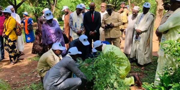 Mali : lancement d&rsquo;un ambitieux projet pour accélérer la restauration des écosystèmes le long du corridor de la Grande Muraille Verte